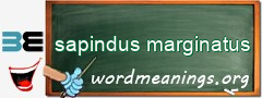 WordMeaning blackboard for sapindus marginatus